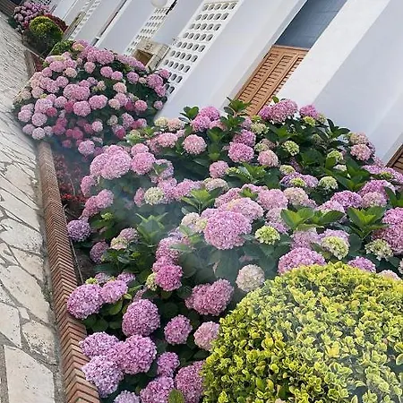 Precioso Con Piscina Urbanización Playazul Cambrils
